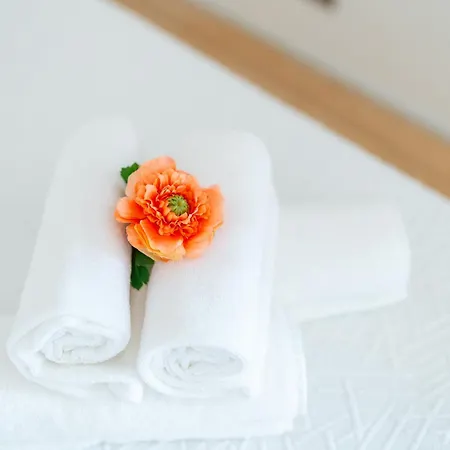 Madeira Holidays By Amazing Madeira Funchal (Madeira)