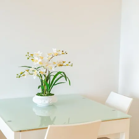 Madeira Holidays By Amazing Madeira