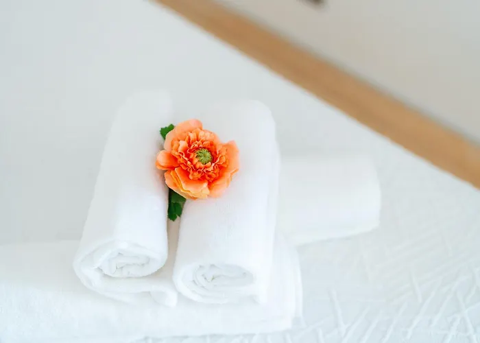 Madeira Holidays By Amazing Madeira フンシャル