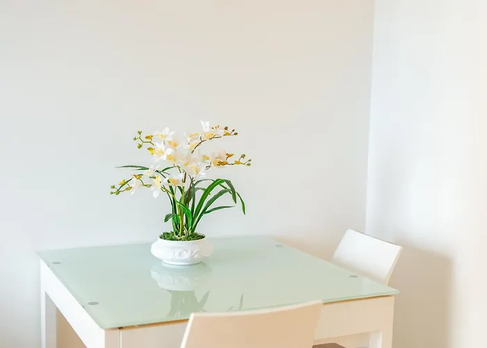 Madeira Holidays By Amazing Madeira